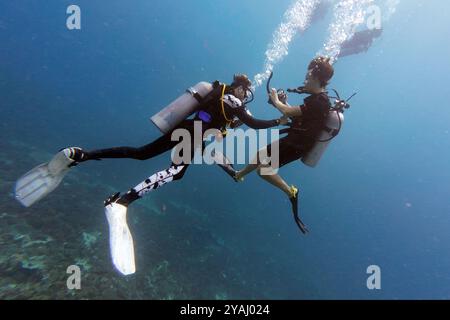 10.11.2023, Indonésie, Lombok, Gili Trawangan - hommes en cours de plongée dans la mer. 00S231110D396CAROEX.JPG [AUTORISATION DU MODÈLE : NON, AUTORISATION DU PROPRIÉTAIRE : NON (C Banque D'Images