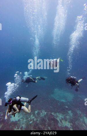 10.11.2023, Indonésie, Lombok, Gili Trawangan - hommes plongeant dans la mer. 00S231110D395CAROEX.JPG [AUTORISATION DU MODÈLE : NON, AUTORISATION DU PROPRIÉTAIRE : NON (c) image caro Banque D'Images