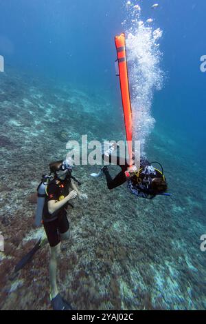 10.11.2023, Indonésie, Lombok, Gili Trawangan - hommes avec une bouée de décompression sur un cours de plongée dans la mer. 00S231110D398CAROEX.JPG [AUTORISATION DU MODÈLE : N Banque D'Images