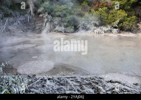 Zone d'activité géothermique de Rotorua dans la région néo-zélandaise Bay of Plenty. Boues bouillantes. Banque D'Images