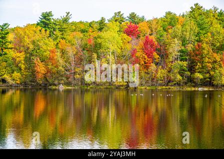 Mont St-Bruno, Canada - 13 oct. 2024 : saison d'automne colorée au Lac Moulin sur le Mont St-Bruno Banque D'Images