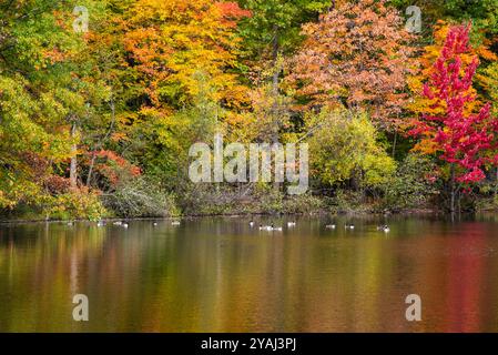 Mont St-Bruno, Canada - 13 oct. 2024 : saison d'automne colorée au Lac Moulin sur le Mont St-Bruno Banque D'Images