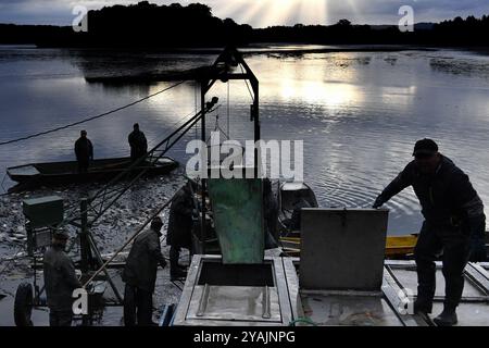 Brezina, République tchèque. 14 octobre 2024. Pêcheurs tirant du poisson d'un étang lors de la pêche traditionnelle des carpes dans l'étang de Zabakor à Brezina, République tchèque. Le transport des carpes a lieu une fois par an à l'automne. En République tchèque, c'est une méthode de pêche traditionnelle. Les carpes sont gardées vivantes jusqu’à ce qu’elles puissent être vendues 3-4 jours avant Noël le 24 décembre. La carpe est un repas de Noël traditionnel et populaire. L'étang de Zabakor, avec une superficie de 45 hectares, est le plus grand étang de la zone paysagère protégée du Paradis de Bohême. Crédit : ZUMA Press, Inc/Alamy Live News Banque D'Images