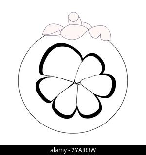 Croquis de fruits de mangoustan simple, contour minimaliste de fruits de mangoustan, fruits entiers et autre moitié. Idéal pour une utilisation dans les illustrations, le matériel éducatif Illustration de Vecteur