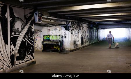 une femme promène son chien devant les murs blancs du passage souterrain baratashvili recouvert d'art de rue et de graffitis et d'un piano droit cassé Banque D'Images