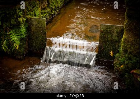 Leat in the Grounds of Acorn Bank National Trust, Temple Sowerby, Penrith, Cumbria, Angleterre, ROYAUME-UNI Banque D'Images
