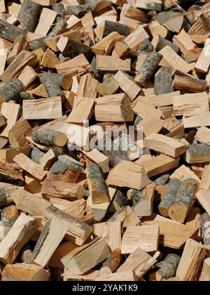 Préparation pour l'hiver : gros plan détaillé du bois de chauffage haché Banque D'Images