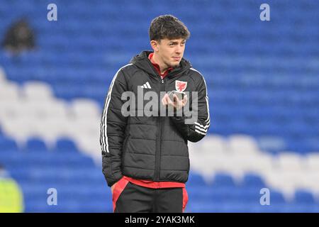 Cardiff, Royaume-Uni. 14 octobre 2024. Owen Beck du pays de Galles inspecte le terrain devant le match UEFA Nations League - League B - Group 4 Wales vs Montenegro au Cardiff City Stadium, Cardiff, Royaume-Uni, le 14 octobre 2024 (photo Cody Froggatt/News images) à Cardiff, Royaume-Uni, le 14/10/2024. (Photo de Cody Froggatt/News images/Sipa USA) crédit : Sipa USA/Alamy Live News Banque D'Images