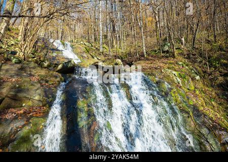 Shamokin Waterfall Springs réserve naturelle par ruisseau de rivière et l'eau coulant sur le sentier de randonnée à Wintergreen Resort, Virginie Banque D'Images