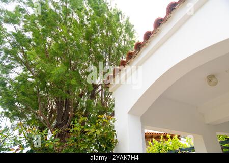 Île de Faros Ikaria, paysage urbain du village de Grèce, se concentrer sur la maison de tuiles de toit rouge par jardin à la mer Egée Ikarian de la zone bleue de longévité méditerranéenne Banque D'Images