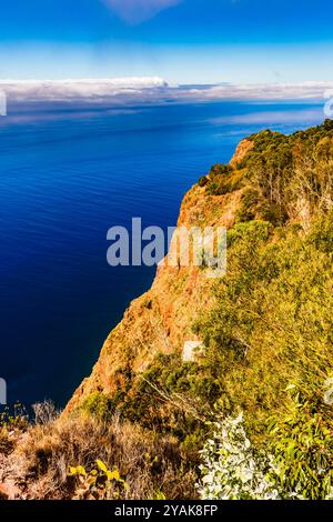 Vue sur la mer depuis les hautes falaises de Cabo Girao, Madère, Portugal Banque D'Images