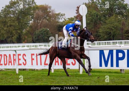 Windsor, Berkshire, Royaume-Uni. 14 octobre 2024. WORLD OF DARCY piloté par la jockey Laura Pearson remporte le Berkshire Winter million, Windsor le 19 janvier handicap Stakes (classe 6) lors de la finale de la saison plate au Royal Windsor Racecourse à Windsor, Berkshire. Propriétaire Das Racing Limited, entraîneur John Ryan, Newmarket, éleveur M. Thomas Foley. Crédit : Maureen McLean/Alamy Live News Banque D'Images