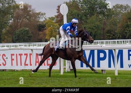 Windsor, Berkshire, Royaume-Uni. 14 octobre 2024. WORLD OF DARCY piloté par la jockey Laura Pearson remporte le Berkshire Winter million, Windsor le 19 janvier handicap Stakes (classe 6) lors de la finale de la saison plate au Royal Windsor Racecourse à Windsor, Berkshire. Propriétaire Das Racing Limited, entraîneur John Ryan, Newmarket, éleveur M. Thomas Foley. Crédit : Maureen McLean/Alamy Live News Banque D'Images