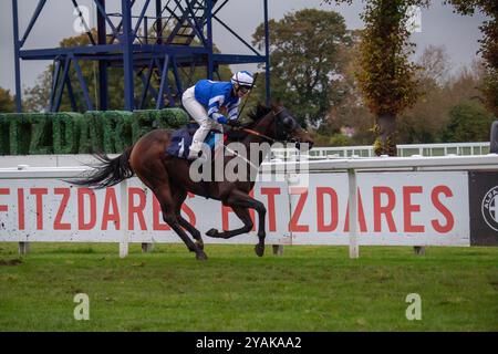 Windsor, Berkshire, Royaume-Uni. 14 octobre 2024. WORLD OF DARCY piloté par la jockey Laura Pearson remporte le Berkshire Winter million, Windsor le 19 janvier handicap Stakes (classe 6) lors de la finale de la saison plate au Royal Windsor Racecourse à Windsor, Berkshire. Propriétaire Das Racing Limited, entraîneur John Ryan, Newmarket, éleveur M. Thomas Foley. Crédit : Maureen McLean/Alamy Live News Banque D'Images