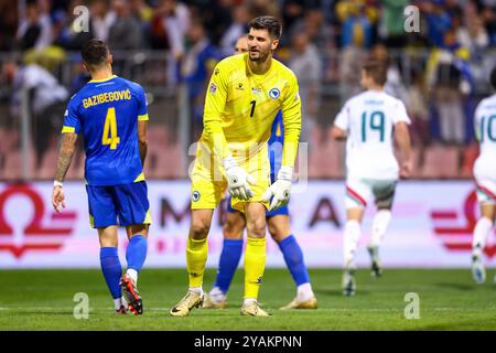 Zenica, Bosnie-Herzégovine. 14 octobre 2024. Le gardien de but de Bosnie-Herzégovine Nikola Vasilj réagit lors du match du Groupe A3 de l'UEFA entre la Bosnie-Herzégovine et la Hongrie au stade Bilino Polje à Zenica, Bosnie-Herzégovine, le 14 octobre 2024. Photo : Armin Durgut/PIXSELL crédit : Pixsell/Alamy Live News Banque D'Images