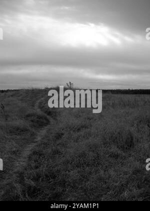 Vue en noir et blanc du monument préhistorique hengé Thornborough Henges North Yorkshire Angleterre Royaume-Uni Banque D'Images