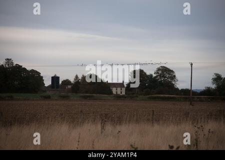 Monument préhistorique hengé Thornborough henges North Yorkshire Angleterre Royaume-Uni Banque D'Images