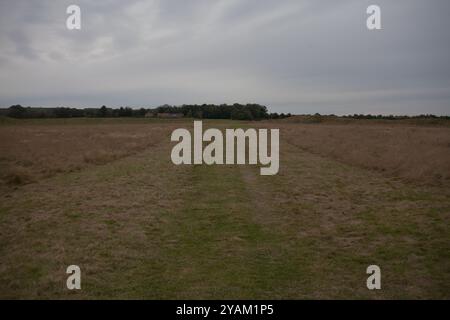 Monument préhistorique hengé Thornborough henges North Yorkshire Angleterre Royaume-Uni Banque D'Images
