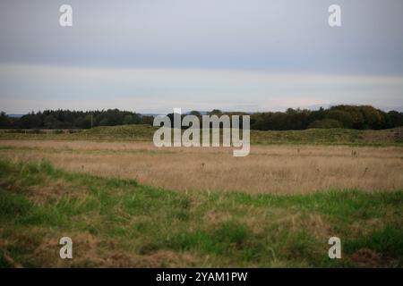 Monument préhistorique hengé Thornborough henges North Yorkshire Angleterre Royaume-Uni Banque D'Images
