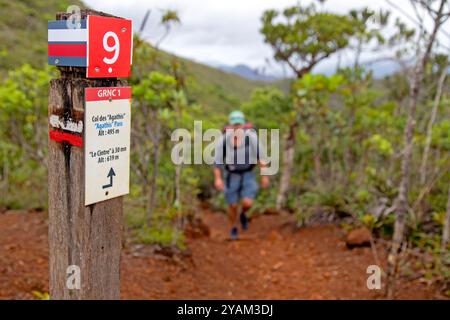 Signalisation sur le sentier de randonnée longue distance GR NC1 de Nouvelle-Calédonie Banque D'Images