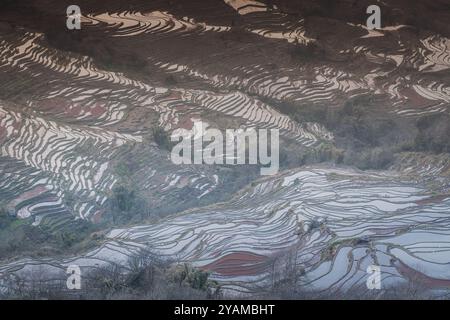 Gros plan sur les couches des terrasses de riz dans la zone de terrasses de riz de Bada, Chine, Yunnan. Site classé au patrimoine mondial de l'UNESCO Banque D'Images