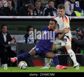 Munich, Allemagne. 14 octobre 2024. Angelo Stiller (R), d'Allemagne, affronte Ryan Gravenberch, des pays-Bas, lors du match de l'UEFA Nations League A entre l'Allemagne et les pays-Bas à Munich, Allemagne, 14 octobre 2024. Crédit : Philippe Ruiz/Xinhua/Alamy Live News Banque D'Images