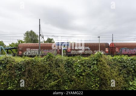 Gare, Stazione di Pizzighettone avec un train de marchandises exploité par la société de logistique Railion, maintenant DB Schenker Rail. Pizzighettone, Lombardie Banque D'Images