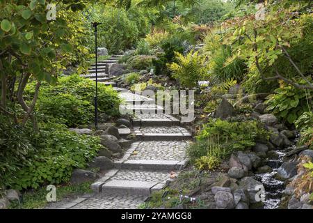 Escalier en pierre mène à travers un jardin verdoyant luxuriant avec atmosphère paisible, jardin botanique ou Botanisk Have, Université, Copenhague, Danemark, Europe Banque D'Images