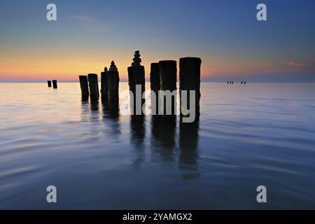 Pyramides de pierre sur les vieux groynes avec des algues dans l'eau sur la plage de la mer Baltique au coucher du soleil, Wustrow, Fischland-Darss-Zingst péninsule, Mecklenburg-Vorpom Banque D'Images