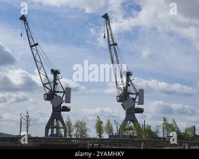 Systèmes de grues dans le port de Hambourg, ville hanséatique de Hambourg, Allemagne, Europe Banque D'Images