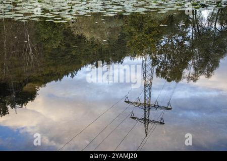 Pôle de ligne électrique réfléchi dans un étang, Silbersee, Niklasdorf, Styrie, Autriche, Europe Banque D'Images