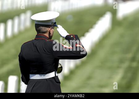 Un moment poignant se déroule alors qu'un Marine joue des robinets, honorant un vétéran déchu par un salut solennel, marquant son internement dans un ceme militaire national Banque D'Images