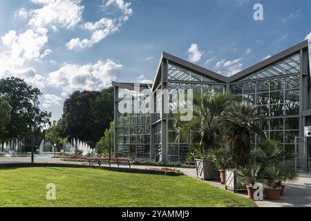 Le jardin botanique de palmiers, Francfort-sur-le-main, Allemagne, juillet 2017, Europe Banque D'Images