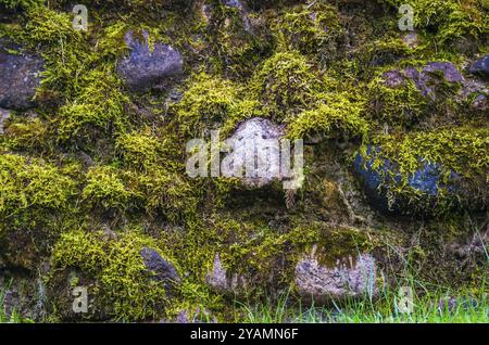 Gros plan de mur de pierre avec de la mousse dans la campagne Banque D'Images