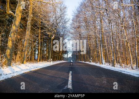 Route en hiver avec forêt et neige Banque D'Images