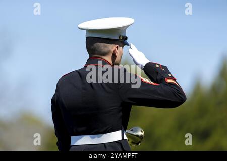 Un moment poignant se déroule alors qu'un Marine joue des robinets, honorant un vétéran déchu par un salut solennel, marquant son internement dans un ceme militaire national Banque D'Images