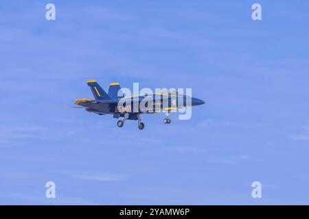 Les Blue Angels d'élite de l'US Navy affinent la précision dans le désert californien, pratiquant des vols en formation complexe au Naval Air Field El Centro pour l'upco Banque D'Images