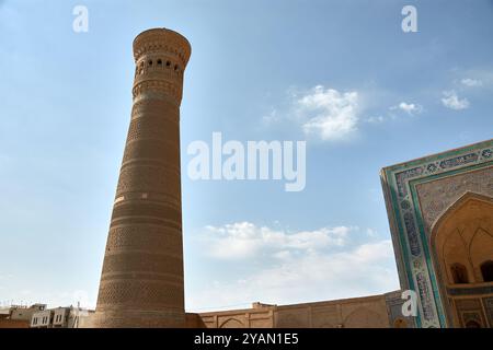 Le complexe de la mosquée po-i-Kalyan, avec le magnifique minaret de Kalyan, est l'un des monuments les plus célèbres de Boukhara, Ouzbékistan. Le minaret, standi Banque D'Images