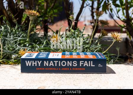 Gros plan Daron Acemoglu et James A. Robinson's Why Nations Fail livre in the Garden. Banque D'Images