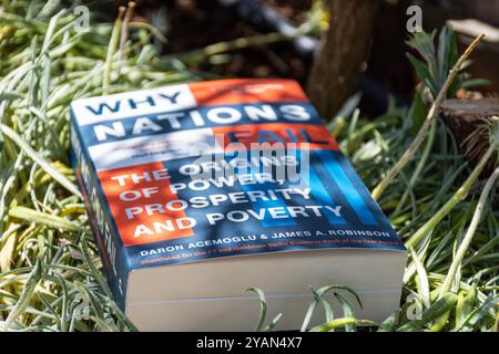 Gros plan Daron Acemoglu et James A. Robinson's Why Nations Fail livre in the Garden. Banque D'Images