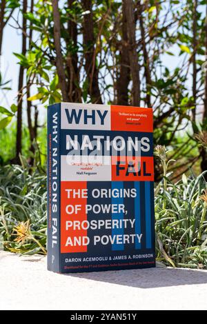 Gros plan Daron Acemoglu et James A. Robinson's Why Nations Fail livre in the Garden. Banque D'Images