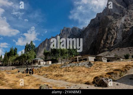 Récolte de blé dans la vallée de Hushe, Kanday, Baltistan, Pakistan Banque D'Images