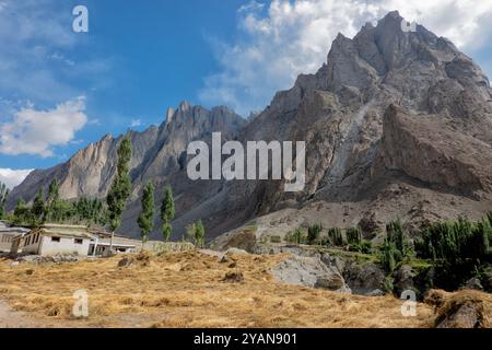 Récolte de blé dans la vallée de Hushe, Kanday, Baltistan, Pakistan Banque D'Images