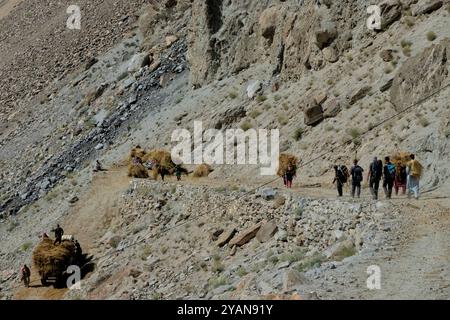 Récolte de blé dans la vallée de Hushe, Kanday, Baltistan, Pakistan Banque D'Images