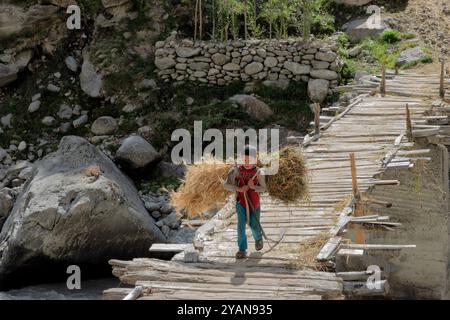 Récolte de blé dans la vallée de Hushe, Kanday, Baltistan, Pakistan Banque D'Images