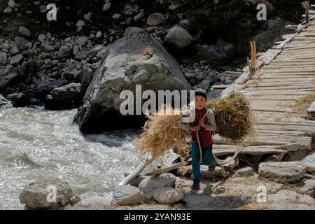 Récolte de blé dans la vallée de Hushe, Kanday, Baltistan, Pakistan Banque D'Images