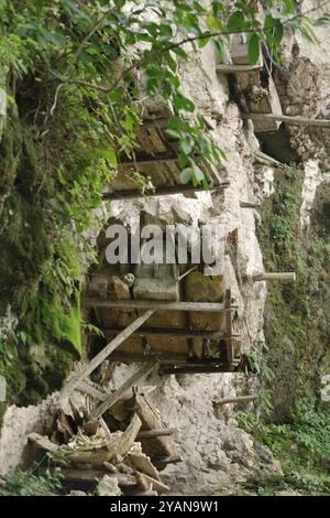 Sarcophage suspendu à un site d'enfouissement traditionnel dans le village de Kete Kesu, au nord de Toraja, au sud de Sulawesi, en Indonésie. Banque D'Images