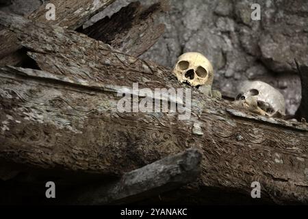 Crânes humains au site traditionnel de sépulture dans le village de Kete Kesu, au nord de Toraja, au sud de Sulawesi, en Indonésie. Banque D'Images