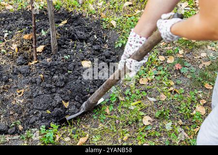 un homme creuse du sol dans un jardin avec une pelle, vue à la première personne. homme avec une pelle. creusez un trou. planter des plants dans le jardin. planter des arbres dans le g Banque D'Images