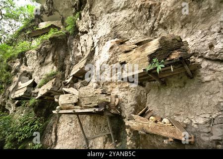 Sarcophage suspendu à un site d'enfouissement traditionnel dans le village de Kete Kesu, au nord de Toraja, au sud de Sulawesi, en Indonésie. Banque D'Images